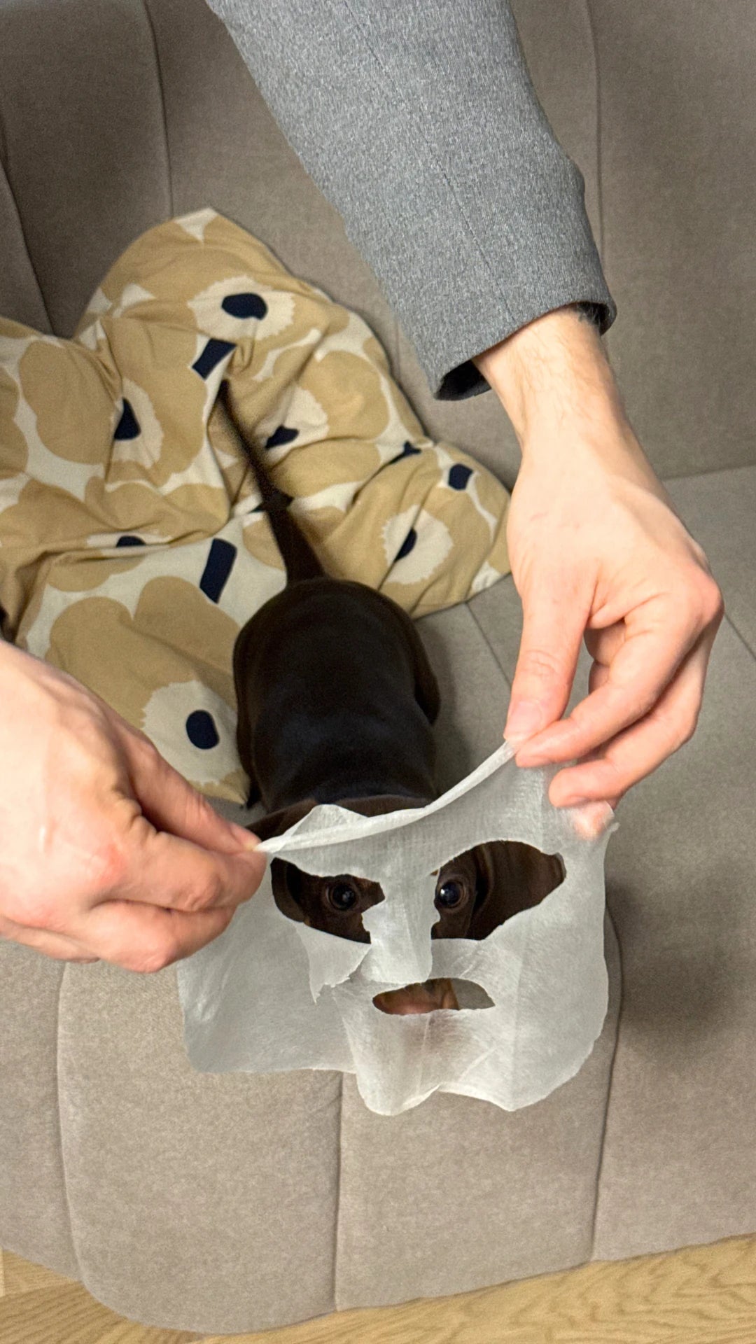 Man holding a sheet mask in front of a dog's face